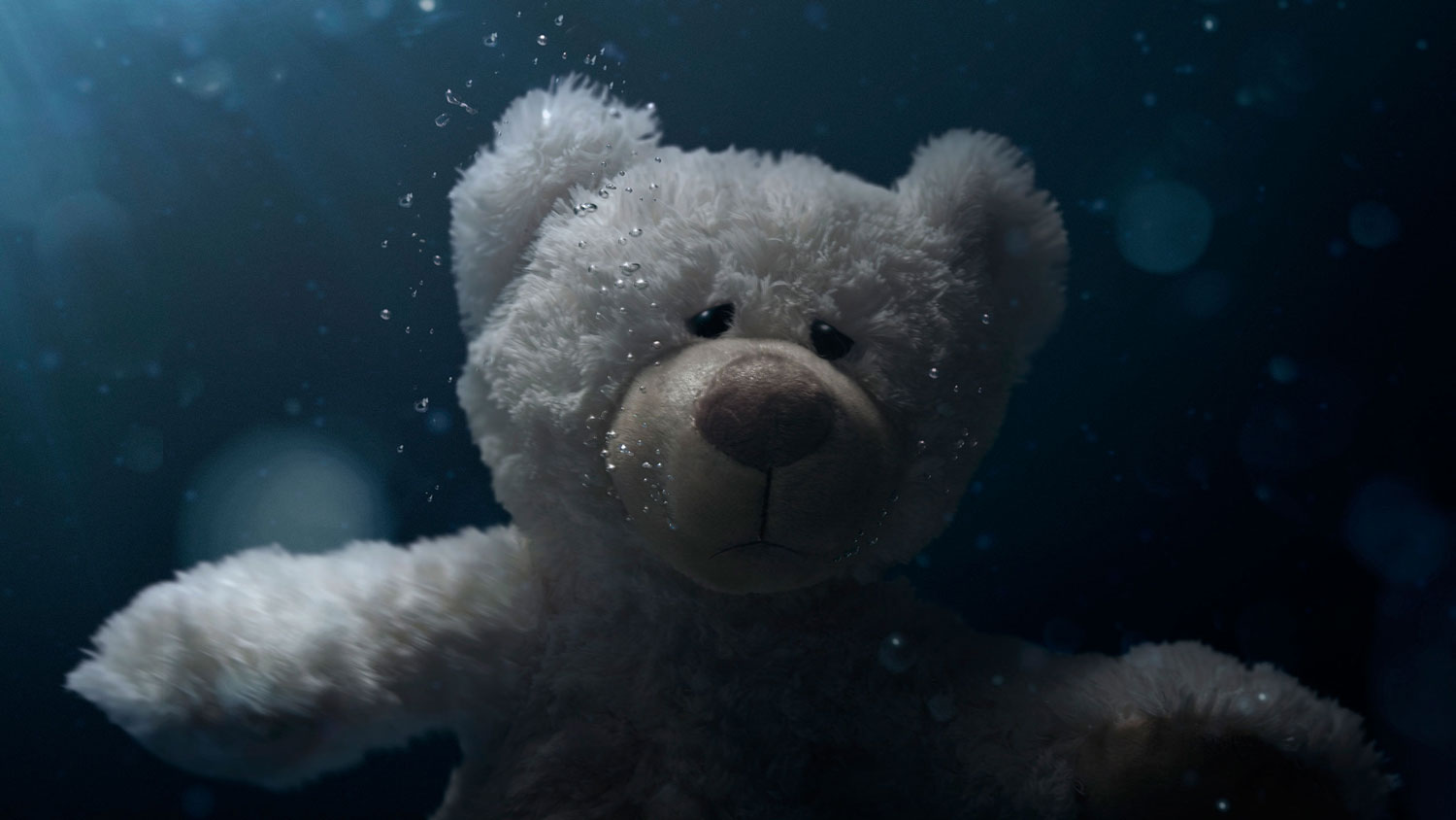 #SaveTheTeddies